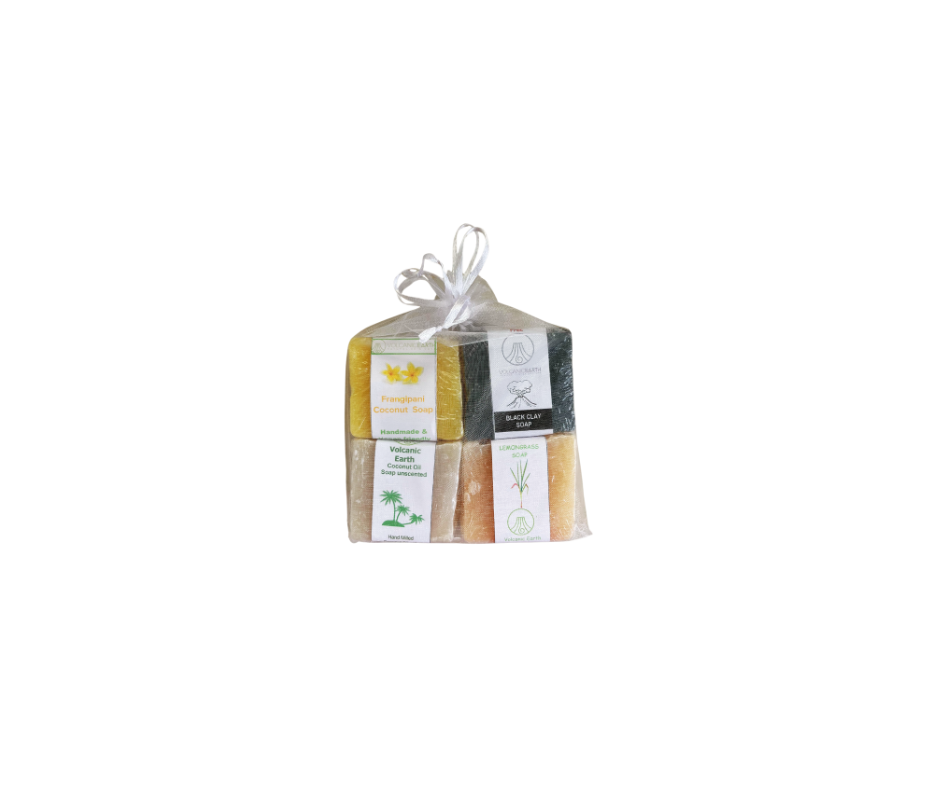Coconut Gift bag Soap x 4 MIX